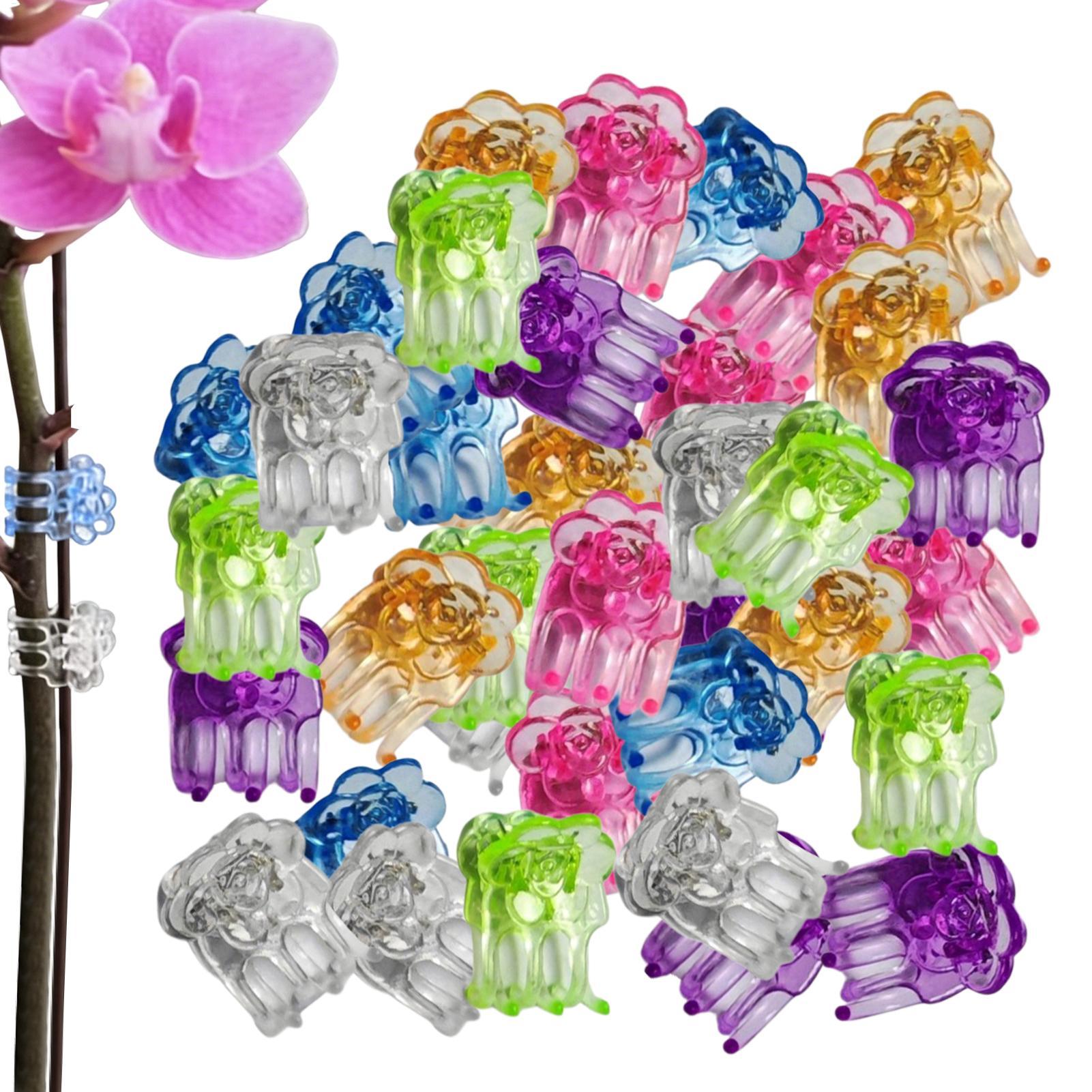 Orchid Potting Mix - Clipes para Orquídeas 60 Peças, Grampos