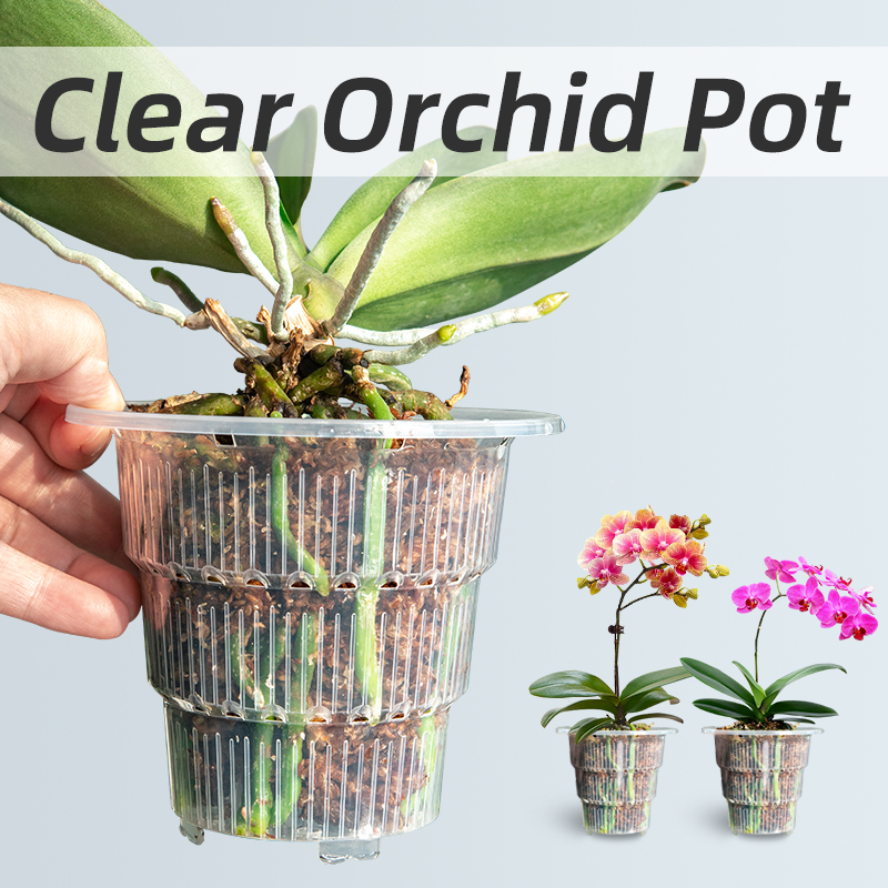 Orchid Potting Mix - Vasos plásticos claros da orquídea com