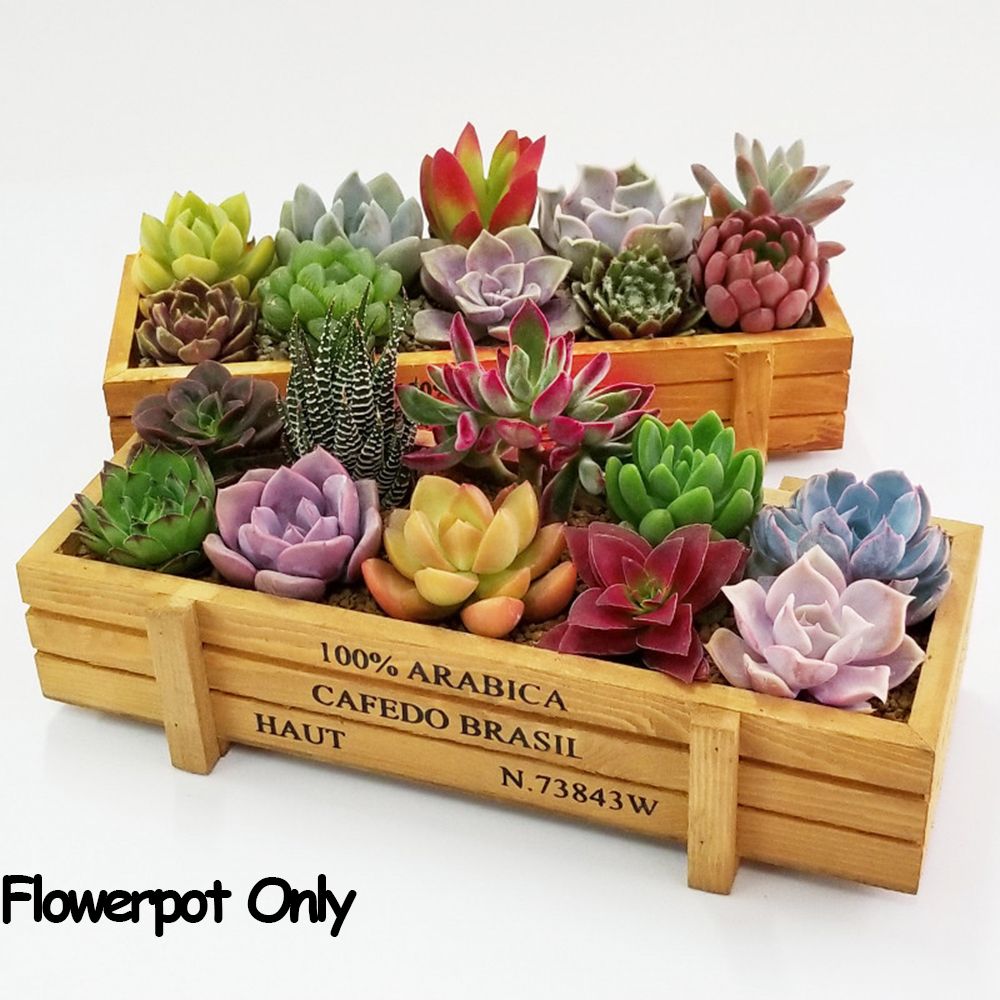 Gardening Tools Organiser - 1 pc ferramentas decoração do jardim