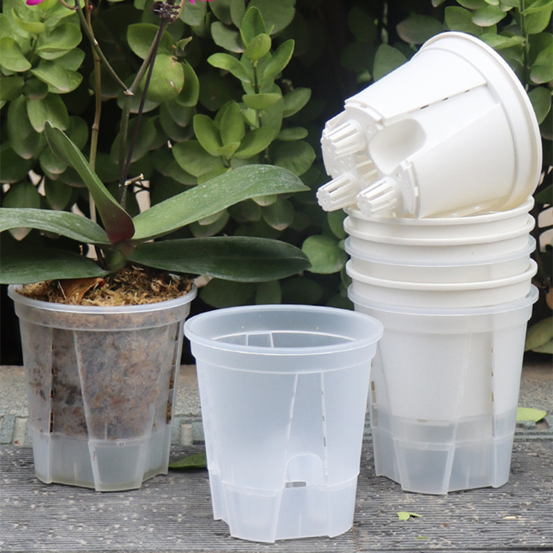 Orchid Potting Mix - Transparente Plastic Orchid Pot com Buracos,