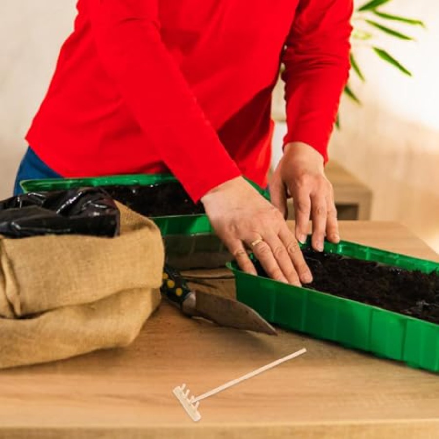Conjunto de Mini Raspadores de - Zen Gardening Tools avaliação e preço