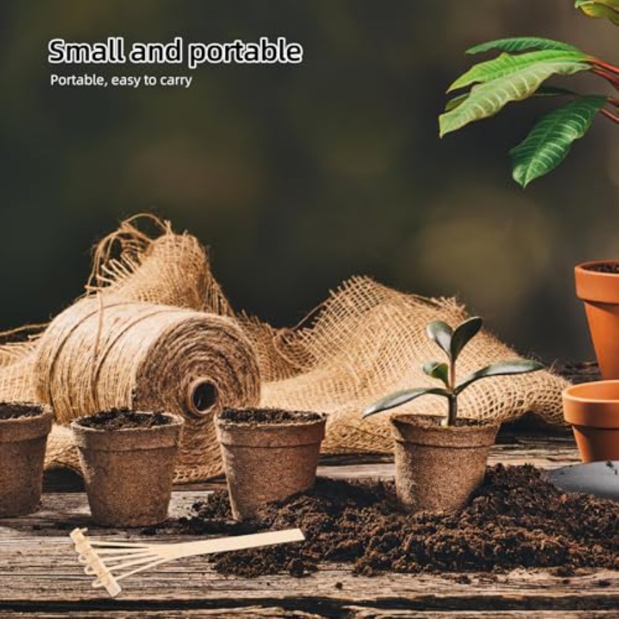 Conjunto de Mini Raspadores de - Zen Gardening Tools avaliação e preço