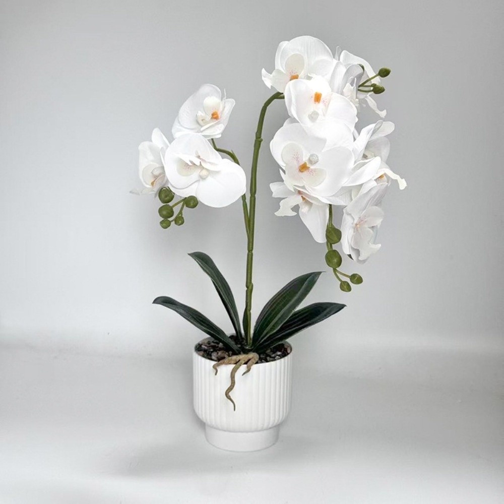 Orquídea Borboleta Artificial  - Orchid Potting Mix avaliação e preço