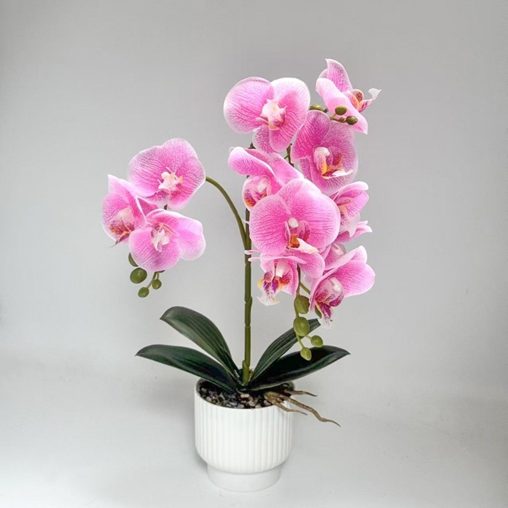 Orquídea Borboleta Artificial  - Orchid Potting Mix avaliação e preço