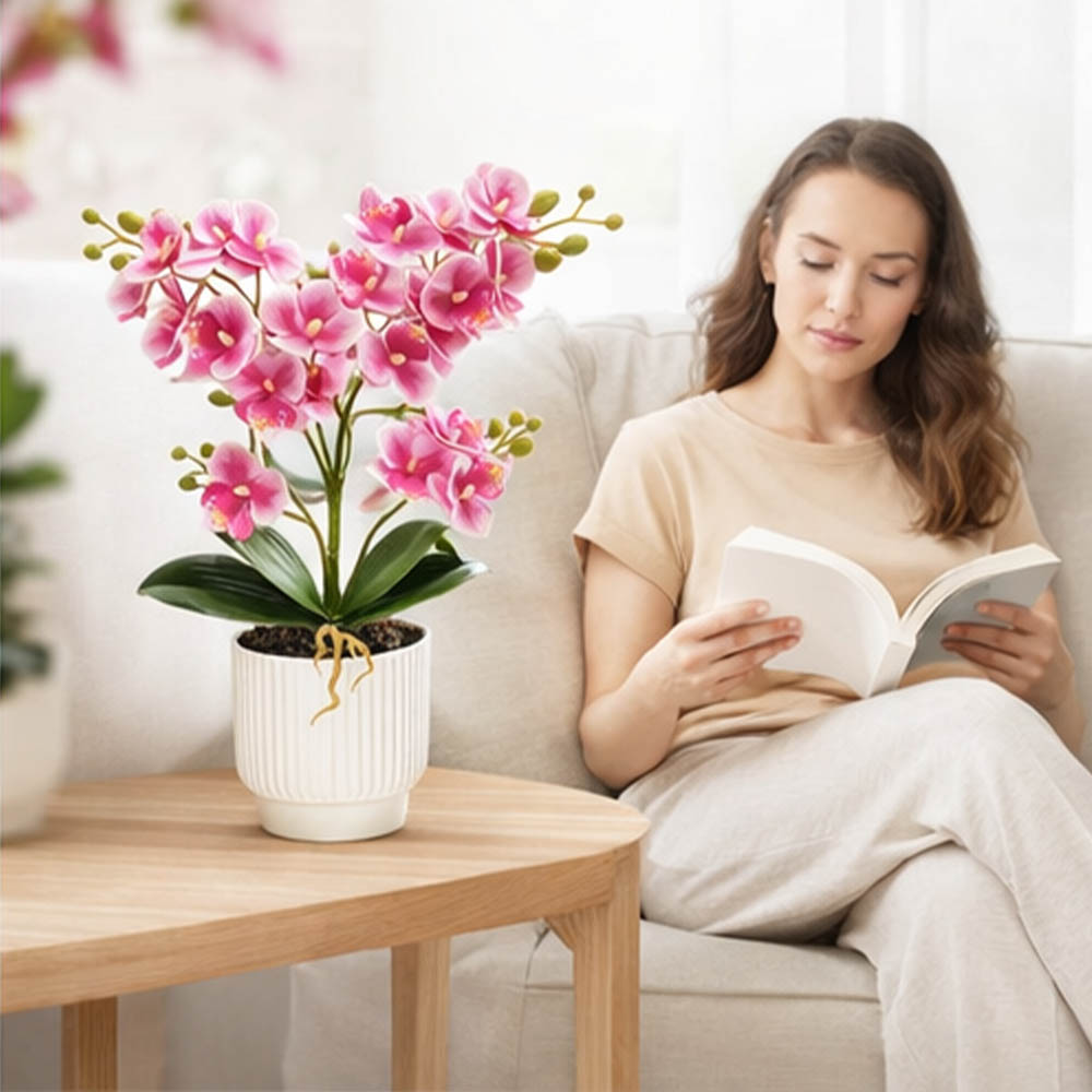 Orquídeas Artificiais: Phalaen - Orchid Potting Mix avaliação e preço