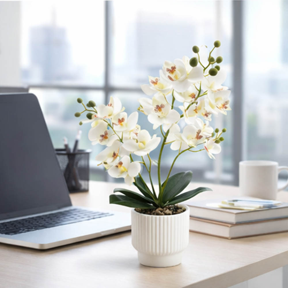 Orquídeas Artificiais: Phalaen - Orchid Potting Mix avaliação e preço