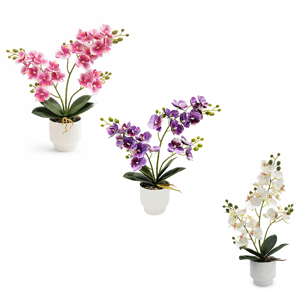 Orquídeas Artificiais: Phalaen - Orchid Potting Mix avaliação e preço