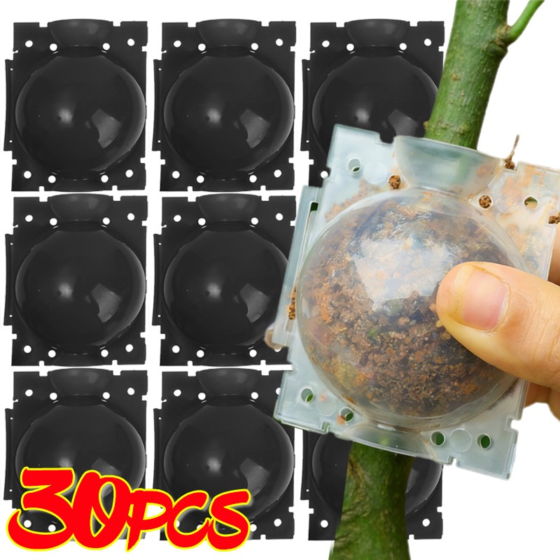 Bola de Enraizamento Reutilizá - Gardening Tools Organiser avaliação e preço