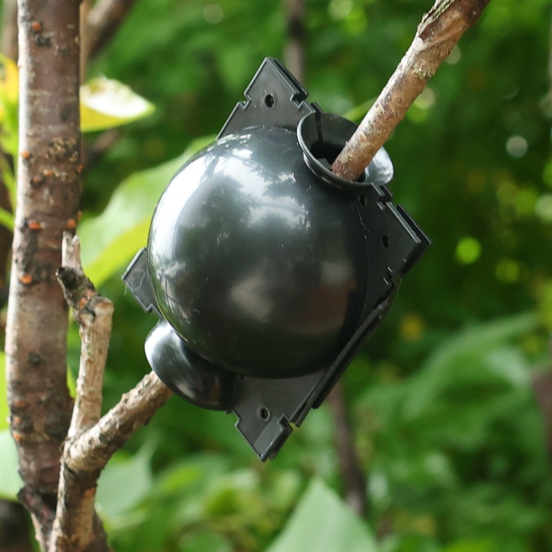 Bola de Enraizamento Reutilizá - Gardening Tools Organiser avaliação e preço