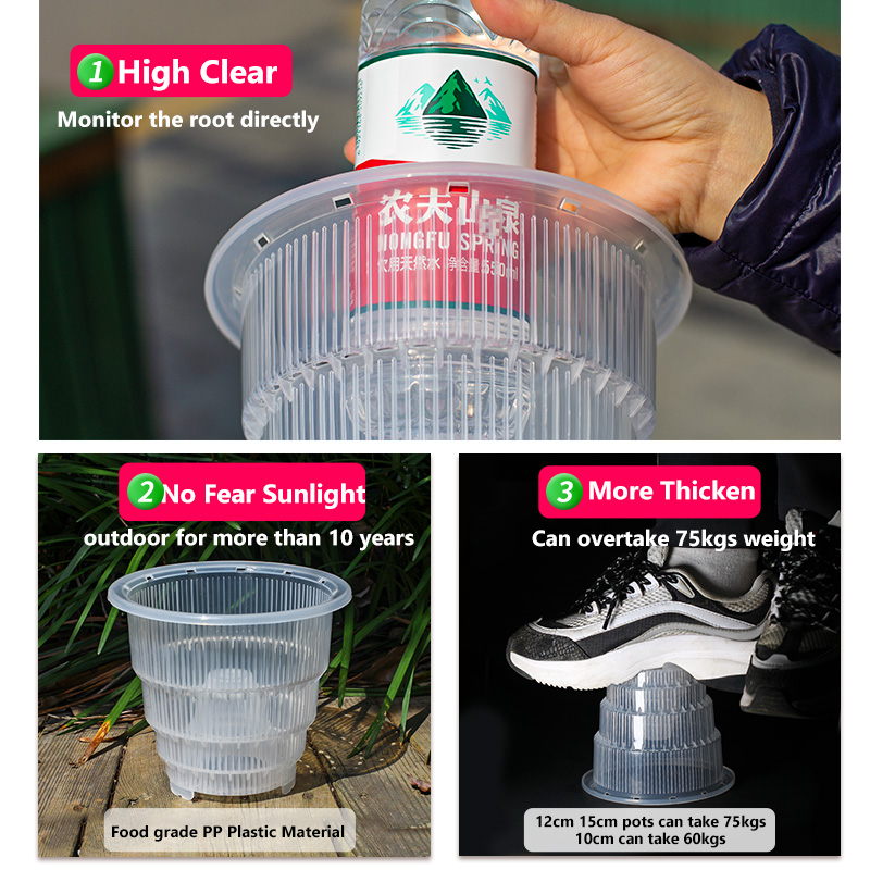 Vasos plásticos claros da orqu - Orchid Potting Mix avaliação e preço