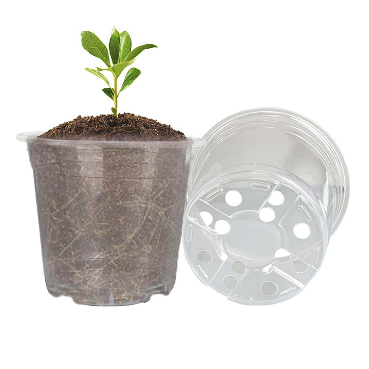5 pçs 6/7.6/10/13/15cm claro p - Orchid Potting Mix avaliação e preço