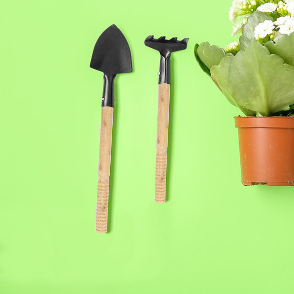 Conjunto de 5 Peças de Cabos d - Gardening Tools Set avaliação e preço