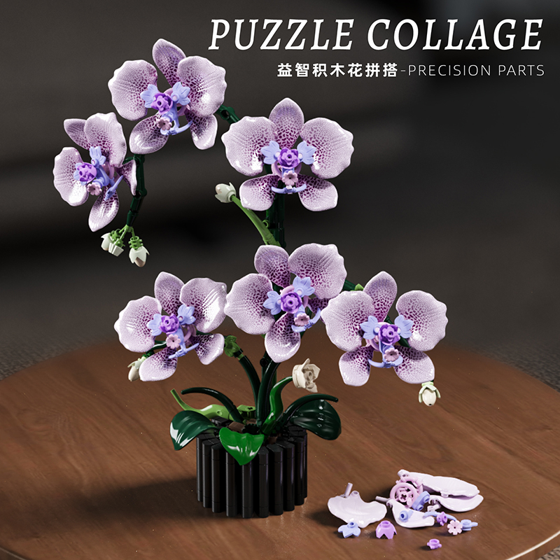 619 pçs phalaenopsis blocos de - Orchid Potting Mix avaliação e preço
