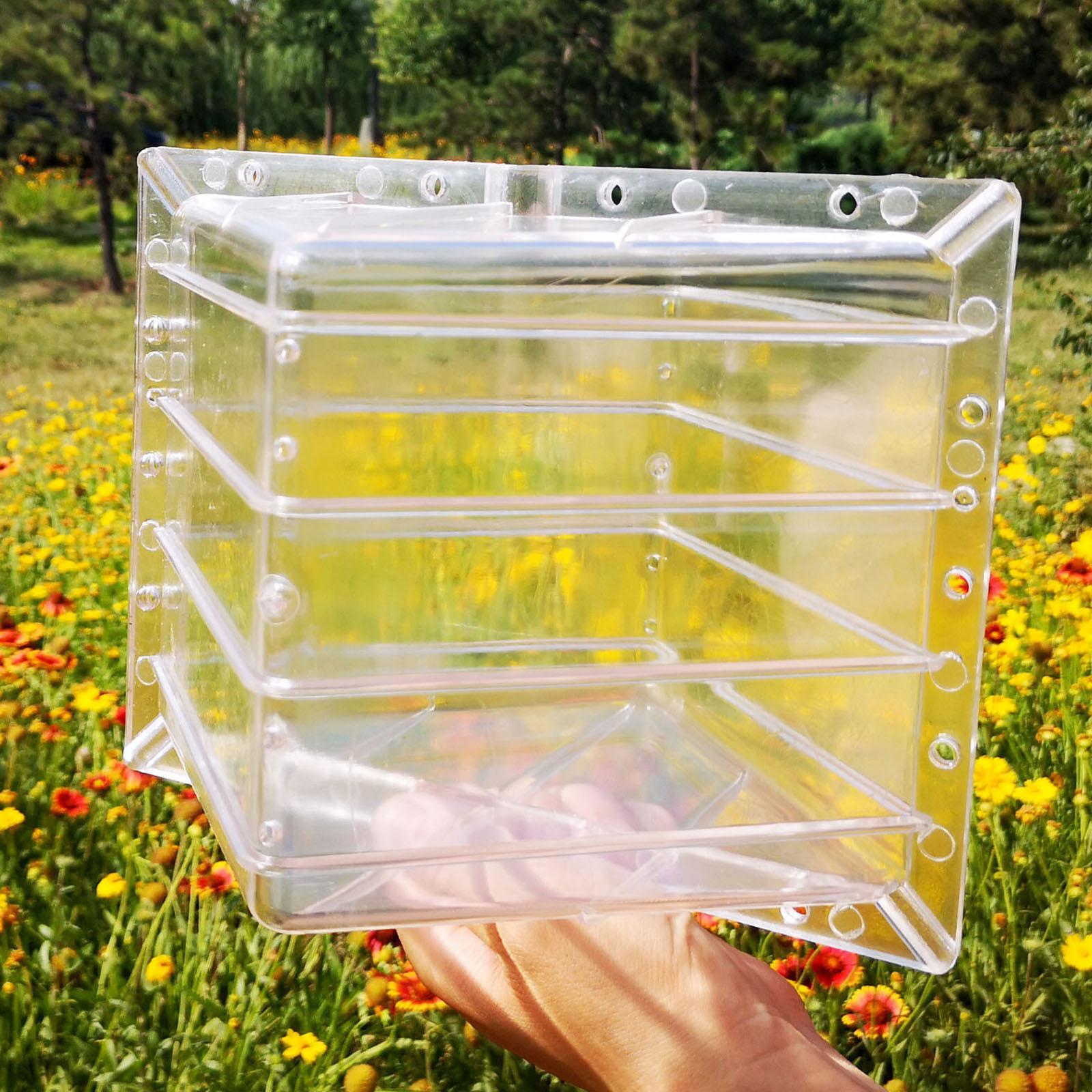 Equipamento de molde de cresci - Gardening Tools Unique avaliação e preço