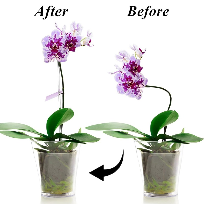 Estaca de Suporte Transparente - Orchid Potting Mix avaliação e preço