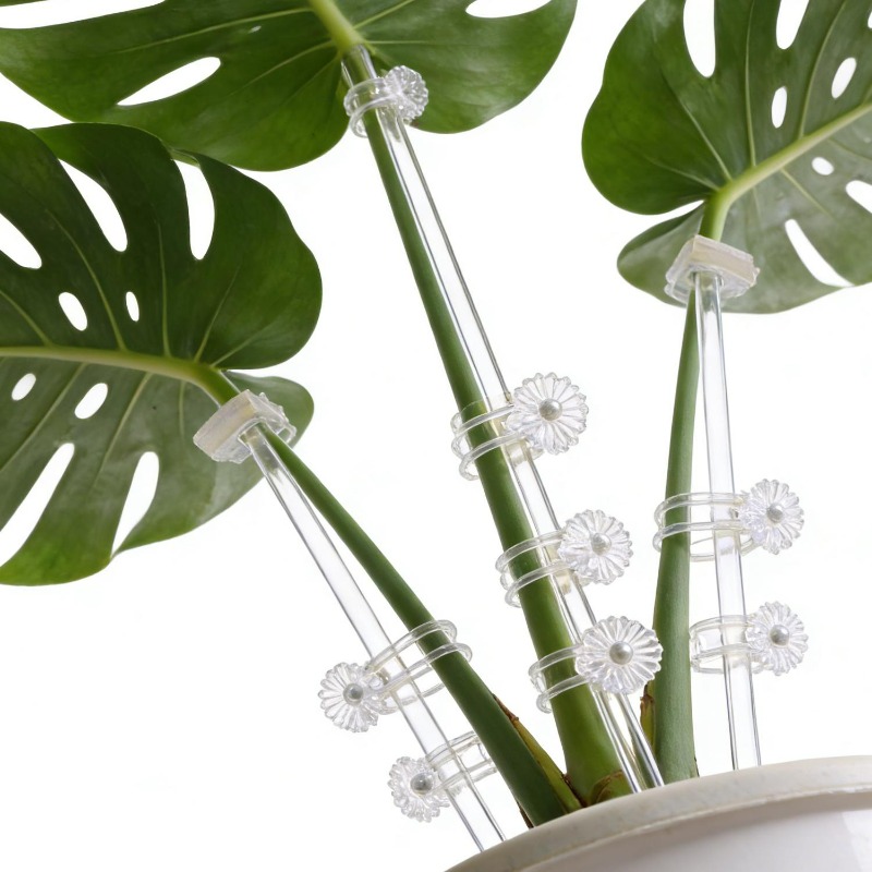 Estaca de Suporte Transparente - Orchid Potting Mix avaliação e preço