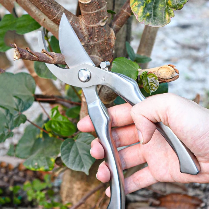 Tesoura de Poda Profissional e - Gardening Tools Japanese avaliação e preço