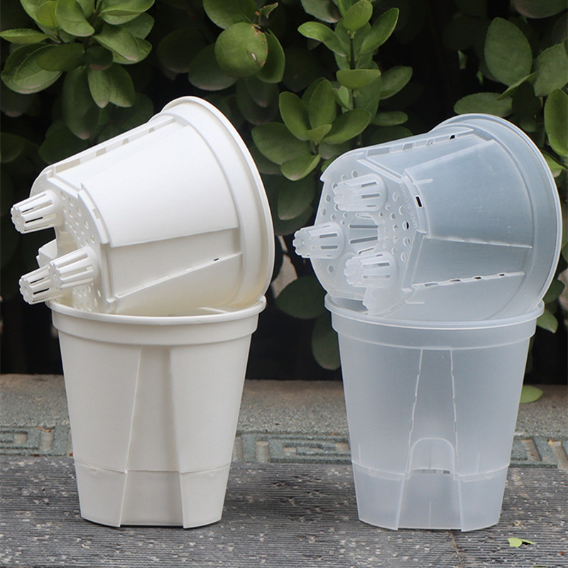 Transparente Plastic Orchid Po - Orchid Potting Mix avaliação e preço