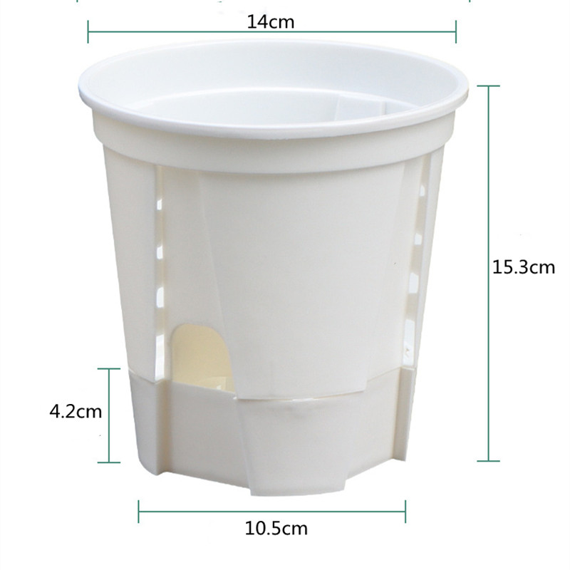Transparente Plastic Orchid Po - Orchid Potting Mix avaliação e preço