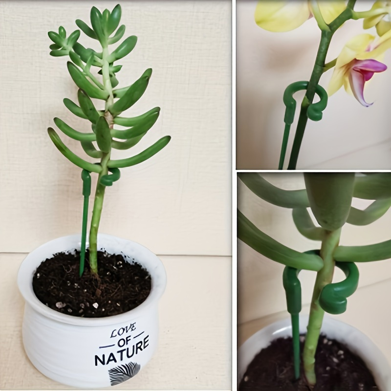 Estacas de suporte de plantas  - Orchid Potting Mix avaliação e preço